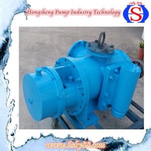 Double Screw Chemcial Pump with Factory Price